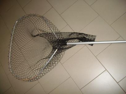 offerta articoli da pesca